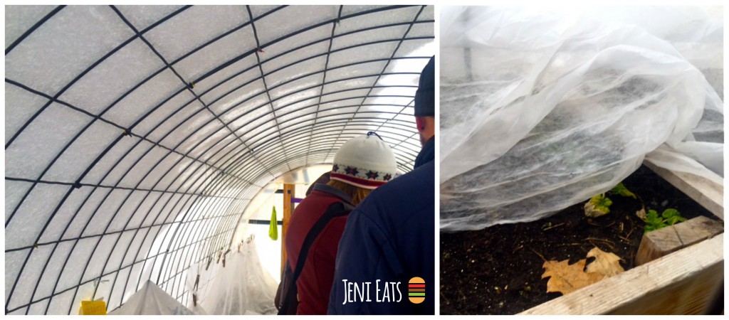 Hoop House Collage